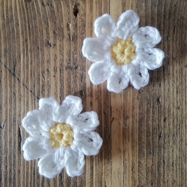Moon Daisy