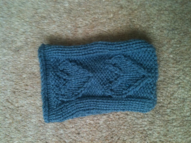 Ipod Cover