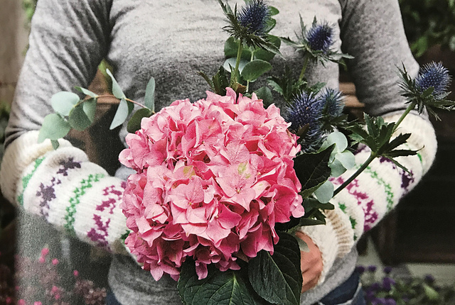 Flora