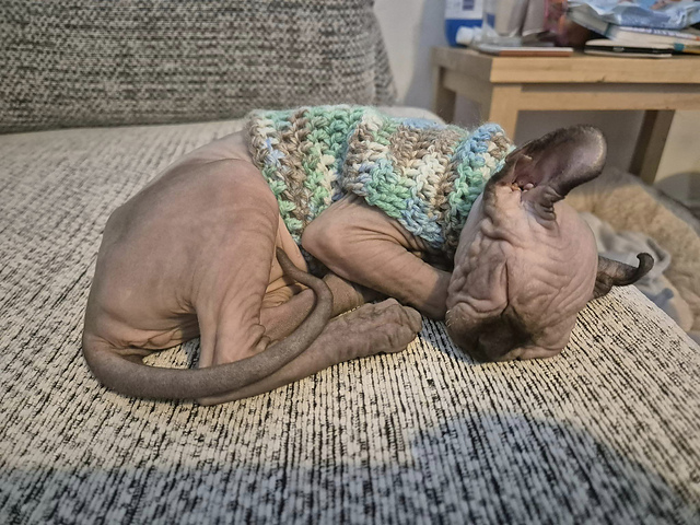The Callie Kitten Sweater