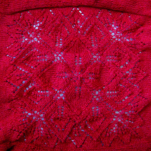 Leaf Lace Cardigan Back