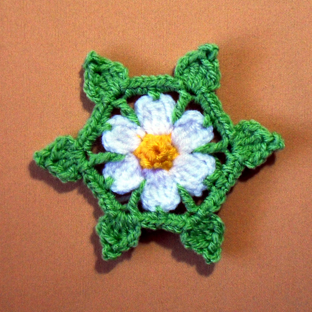 Daisy Star