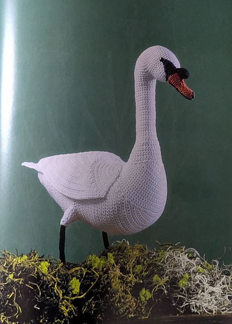 Swan