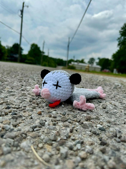 Possum Roadkill