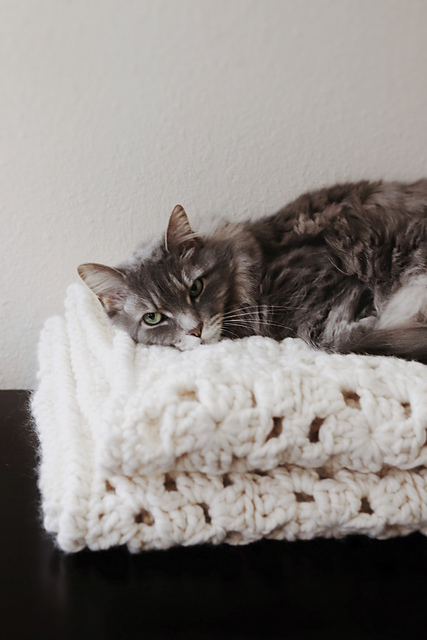 The Magnolia Throw