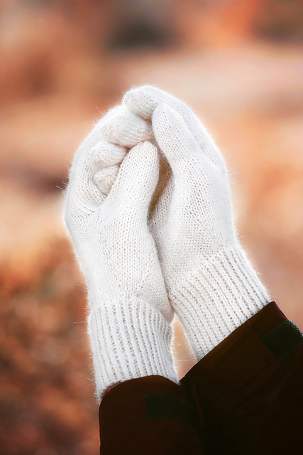 The Classic Gloves
