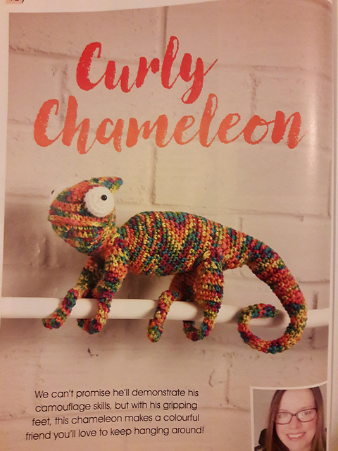 Curly Chameleon