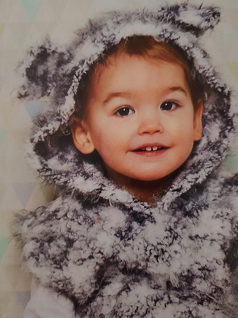 Woolfy Hoody