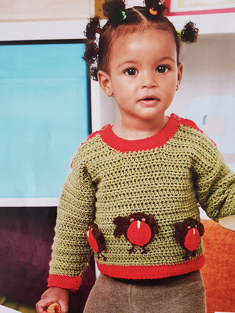 Rockin' Robin Jumper