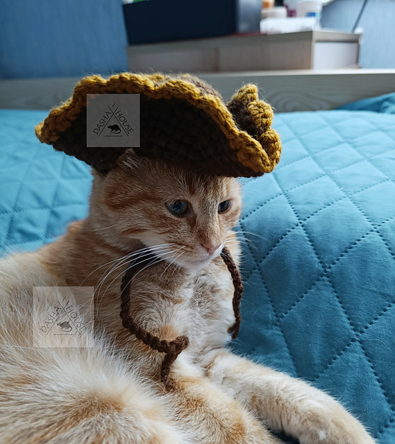 Pirate Hat for Cat or Dog