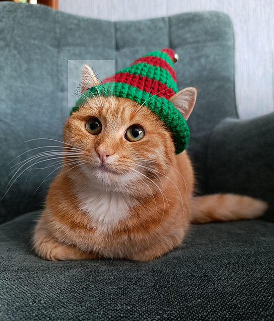Elf hat for pets