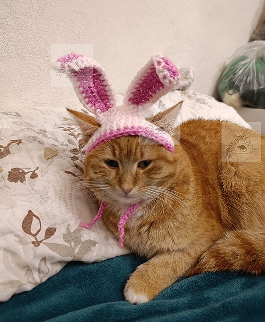 Easter Bunny cat hat