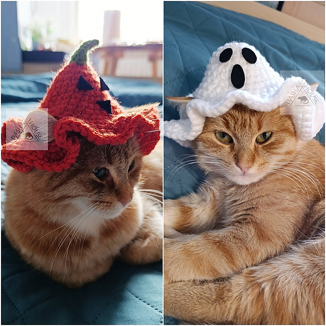 Ghost and Pumpkin Halloween hat cat, dog