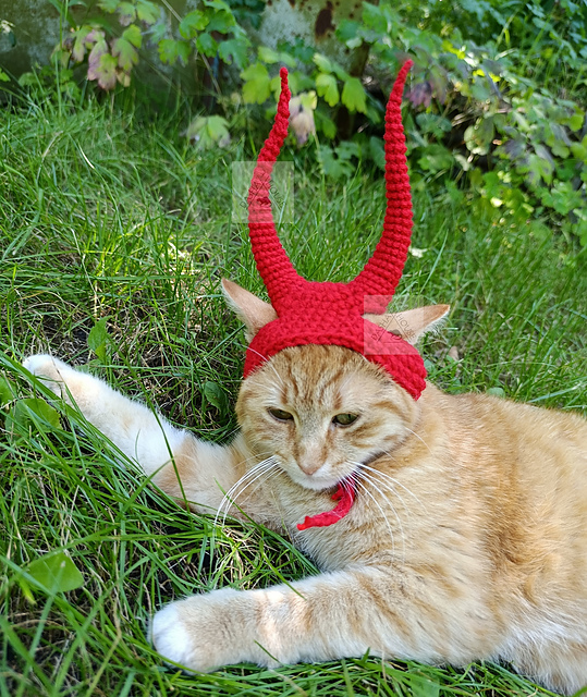 Devil Horns Hat for cat and dog