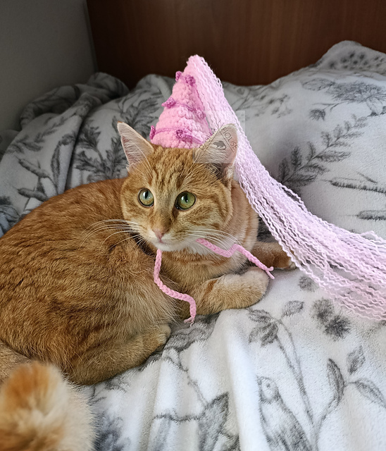 Fairy tale Princess hat for cat and small dog