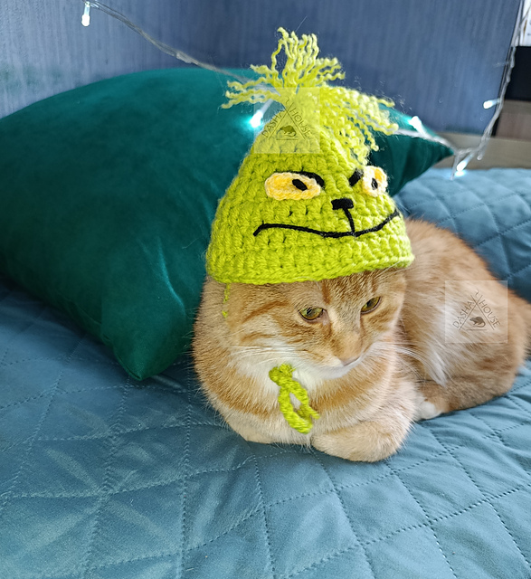 Green Thief Hat for Cats, Dogs