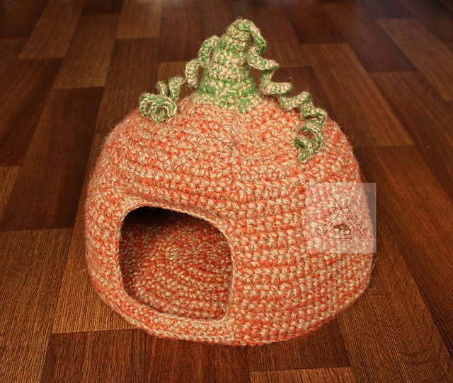 Pampkin house for cat and dog