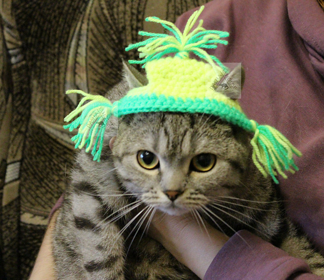 Flap Hat for cat, dog