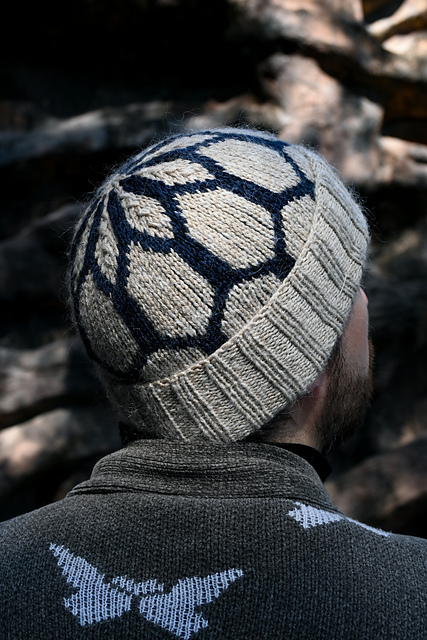 Zevy hat