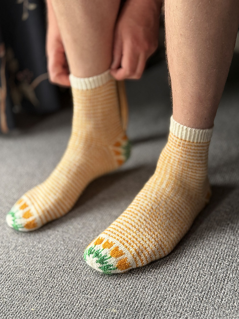 Leiden Socks