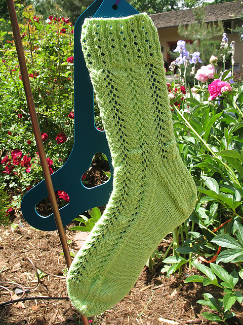 Vine Lace Socks