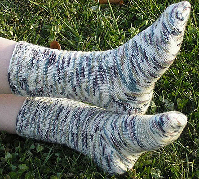 Birch Trunks in Winter Socks