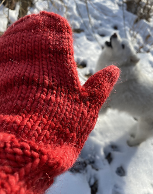 Cranberry Bog Mittens