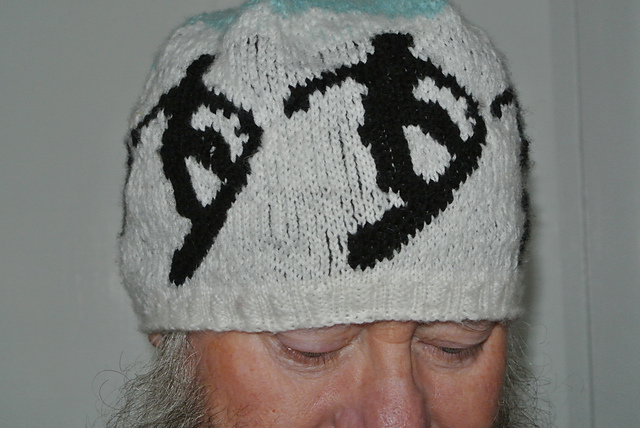 Snowboarding Hat