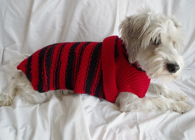Small Dog Sweater
