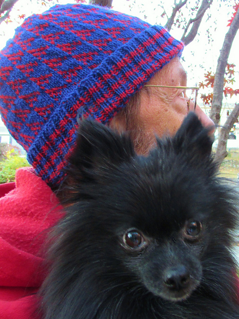 CBD Yay Team!! the Hat