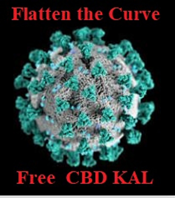 Flatten the Curve
