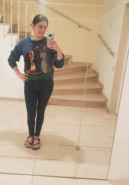 Pull La belle et le clochard Nr. 283-T6-107