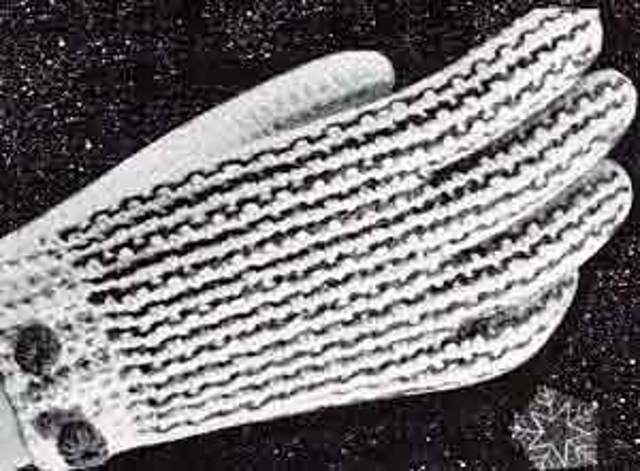 Women's Shortie Gloves No. 631