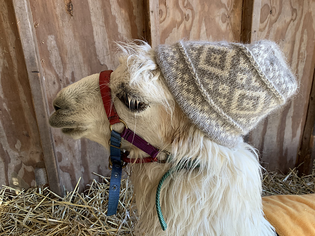 Gabriella's Way Hat