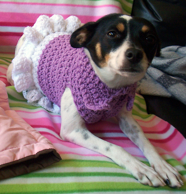 Puppy Princess' Collared Dress