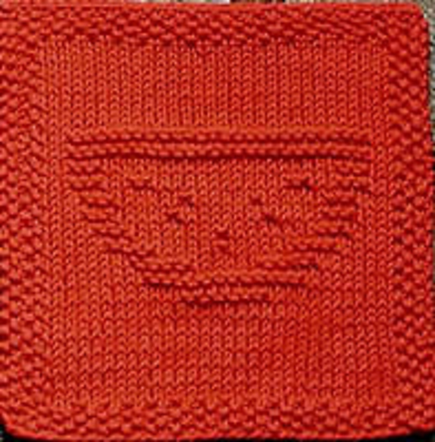 Watermelon Dishcloth