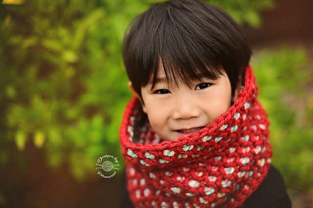 Honey Bee Cowl