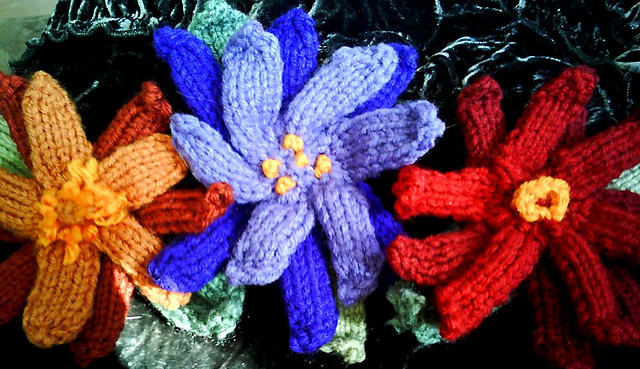 Star Flowers