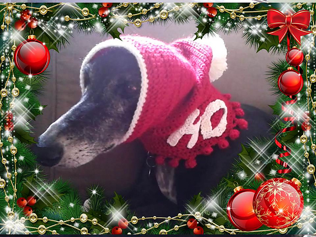 Greyhound Christmas Hat