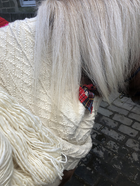 Gansey Cowl