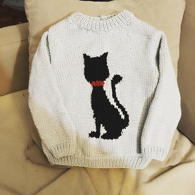 #7 Le pull chat