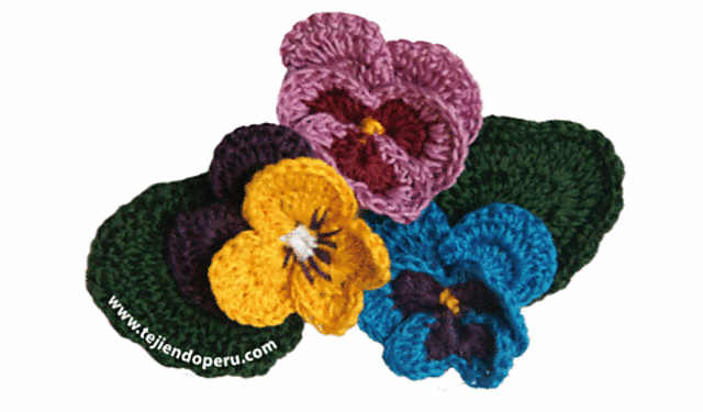 Flor Pensamiento o Pansy