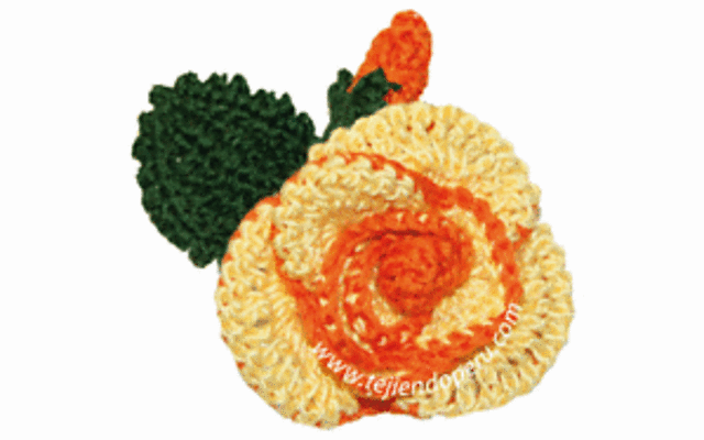 Rosas y botones