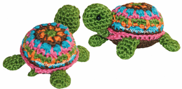 Tortuga pequeña