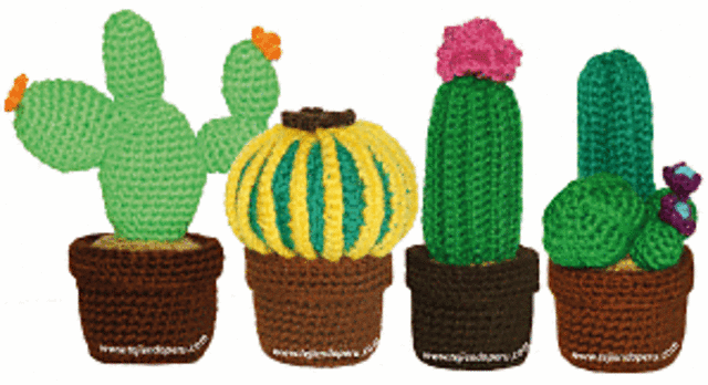 Cactus con flor grande, redondo con espinas amarillas y nopal