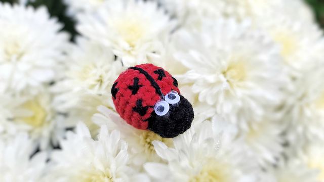 Ladybug