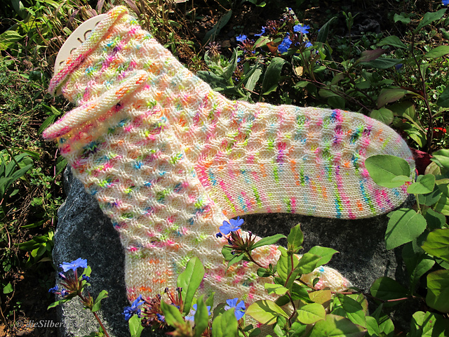 Socken Bienentanz