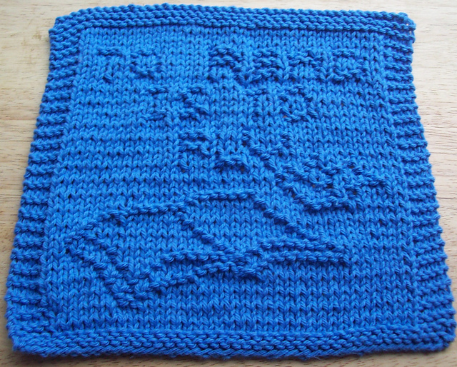 To Read is To Fly Knit Dishcloth 