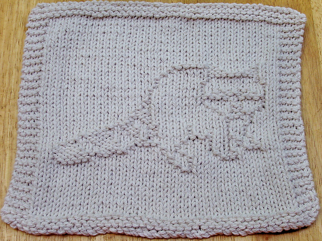 Raccoon Dishcloth