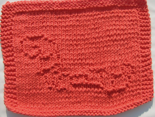 Worm Knit Dishcloth 